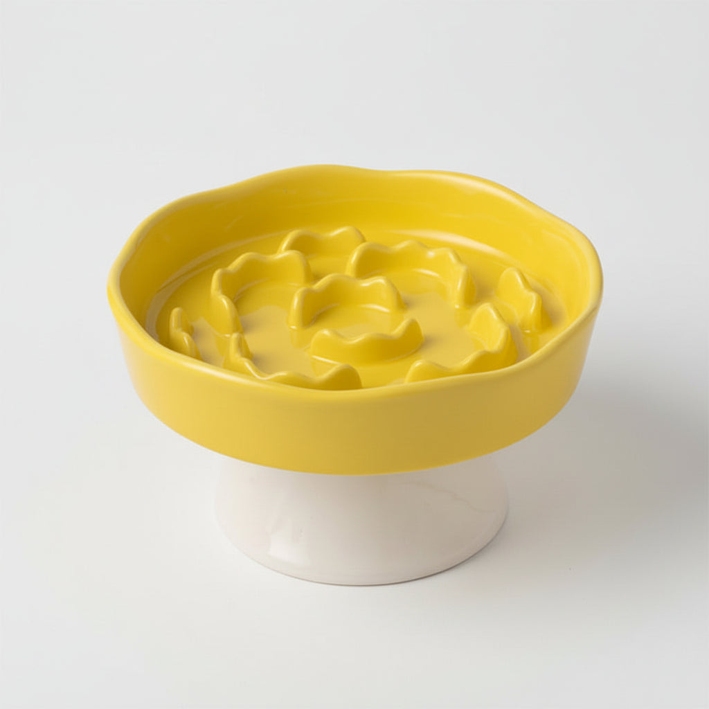 Ceramic Elevated Slow Feeder Bowl