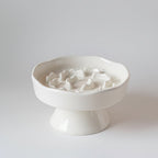 Ceramic Elevated Slow Feeder Bowl