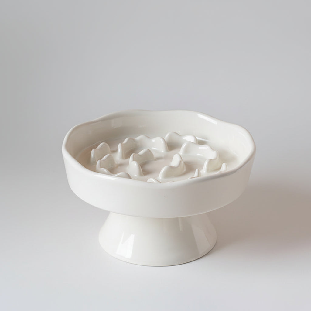 Ceramic Elevated Slow Feeder Bowl