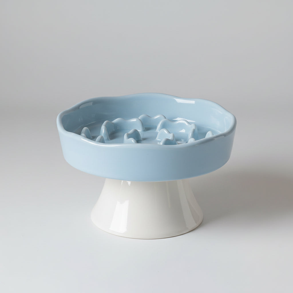 Ceramic Elevated Slow Feeder Bowl
