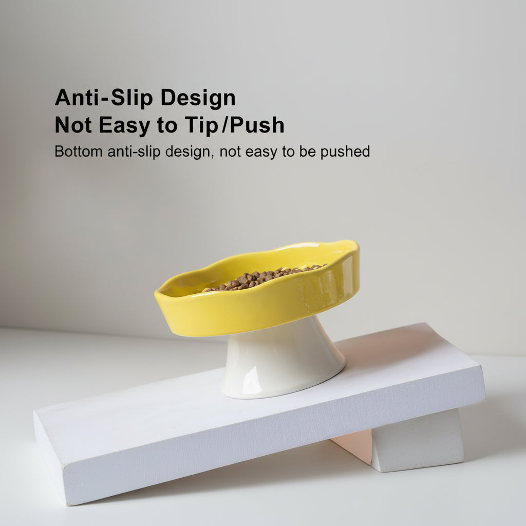 Ceramic Elevated Slow Feeder Bowl