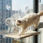 Cat Window Hammock Bed
