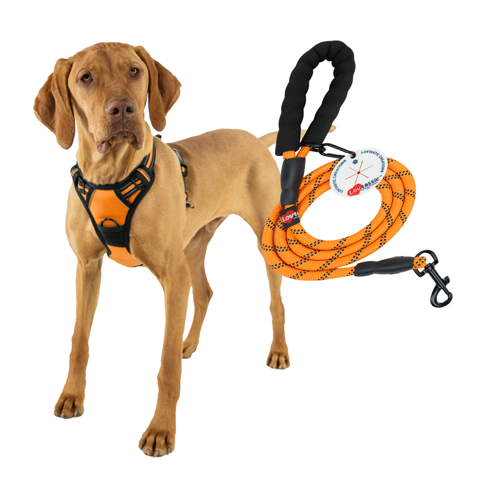 Lovtastic Creations™ No-Pull Dog Harness - with Strong & Durable Dog Leash & Free Poopbag Holder 3pcs Set | Reflective No-Choke Pet Harness