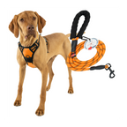 Lovtastic Creations™ No-Pull Dog Harness - with Strong & Durable Dog Leash & Free Poopbag Holder 3pcs Set | Reflective No-Choke Pet Harness