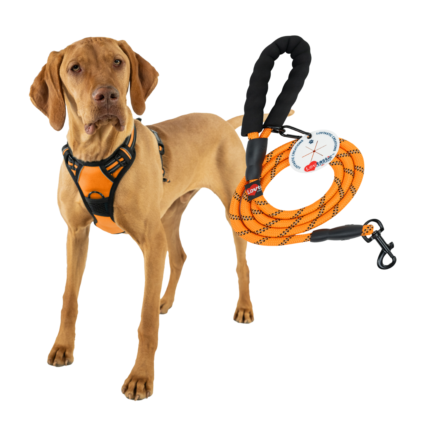 Lovtastic Creations™ No-Pull Dog Harness - with Strong & Durable Dog Leash & Free Poopbag Holder 3pcs Set | Reflective No-Choke Pet Harness