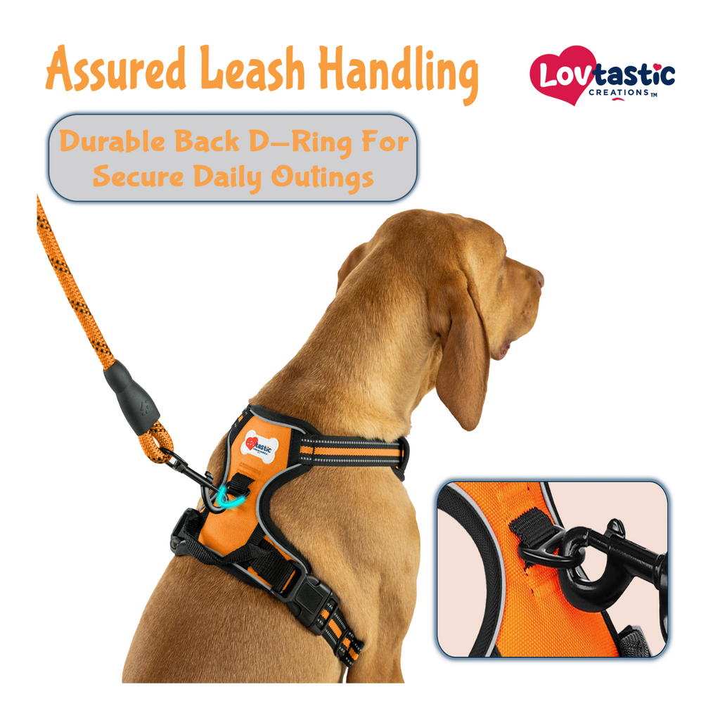 Lovtastic Creations™ No-Pull Dog Harness - with Strong & Durable Dog Leash & Free Poopbag Holder 3pcs Set | Reflective No-Choke Pet Harness