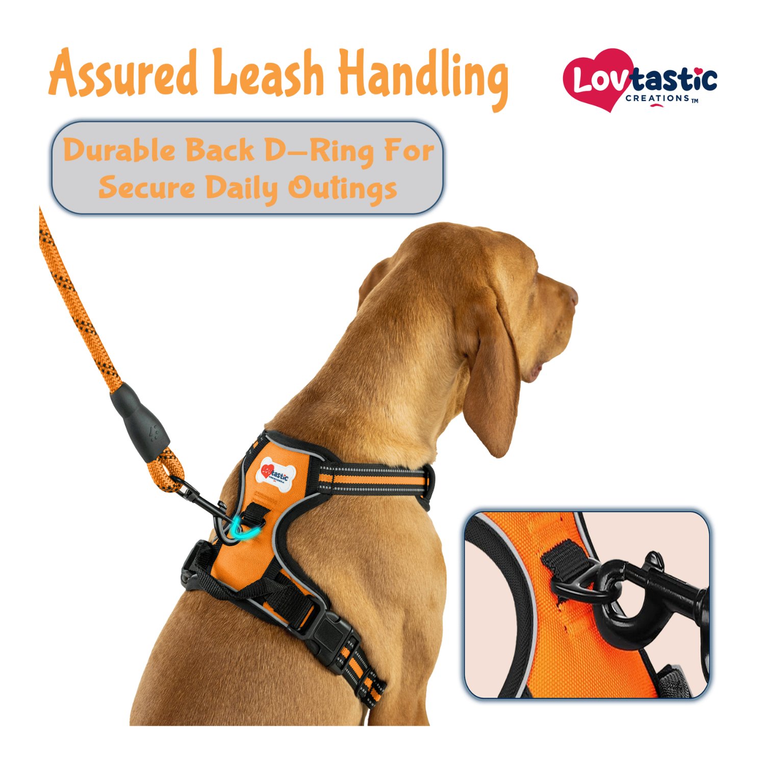 Lovtastic Creations™ No-Pull Dog Harness - with Strong & Durable Dog Leash & Free Poopbag Holder 3pcs Set | Reflective No-Choke Pet Harness