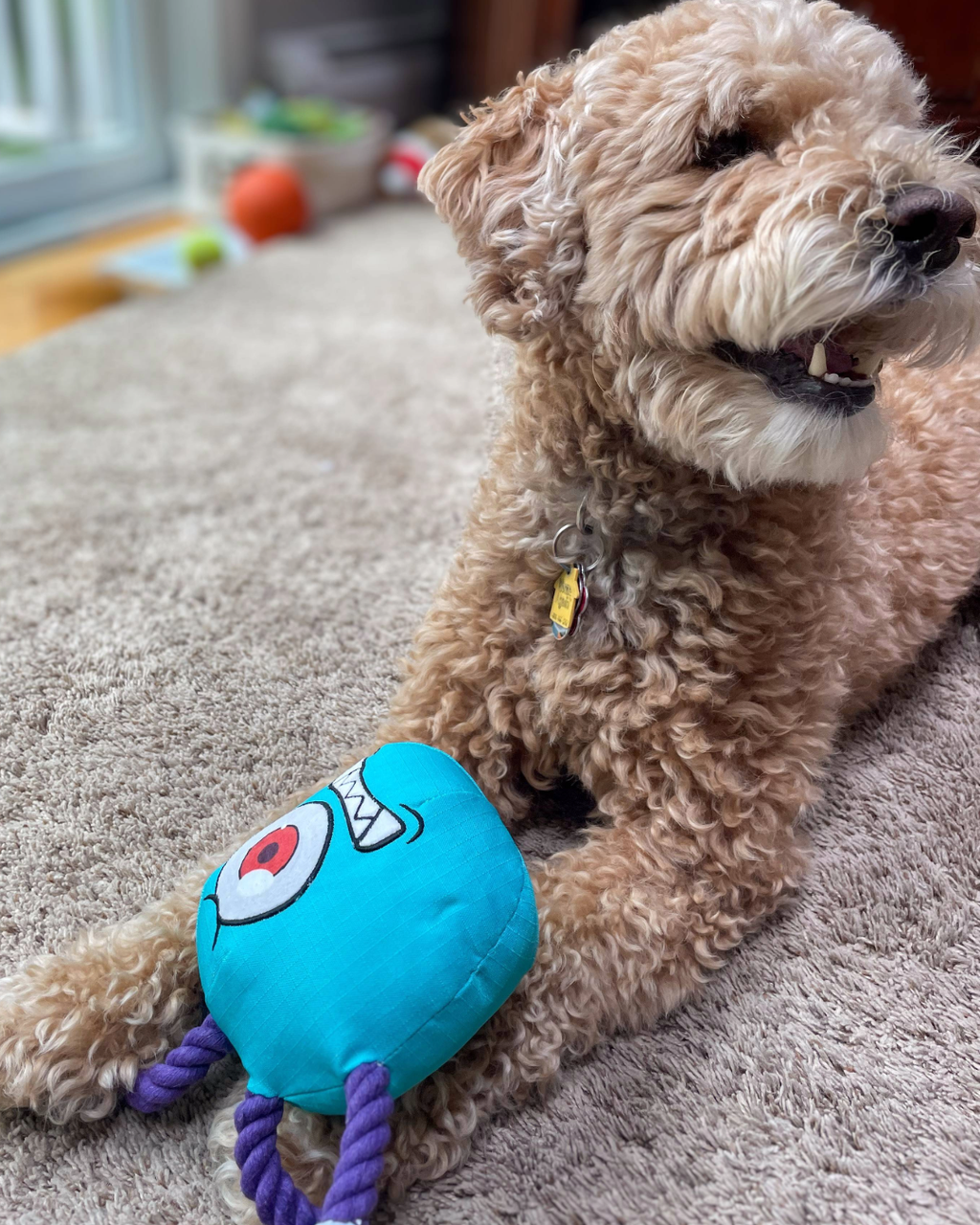 Paw-lymorph Dog Toy: The BeSlobber