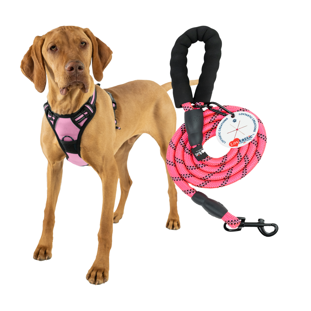 Lovtastic Creations™ No-Pull Dog Harness - with Strong & Durable Dog Leash & Free Poopbag Holder 3pcs Set | Reflective No-Choke Pet Harness