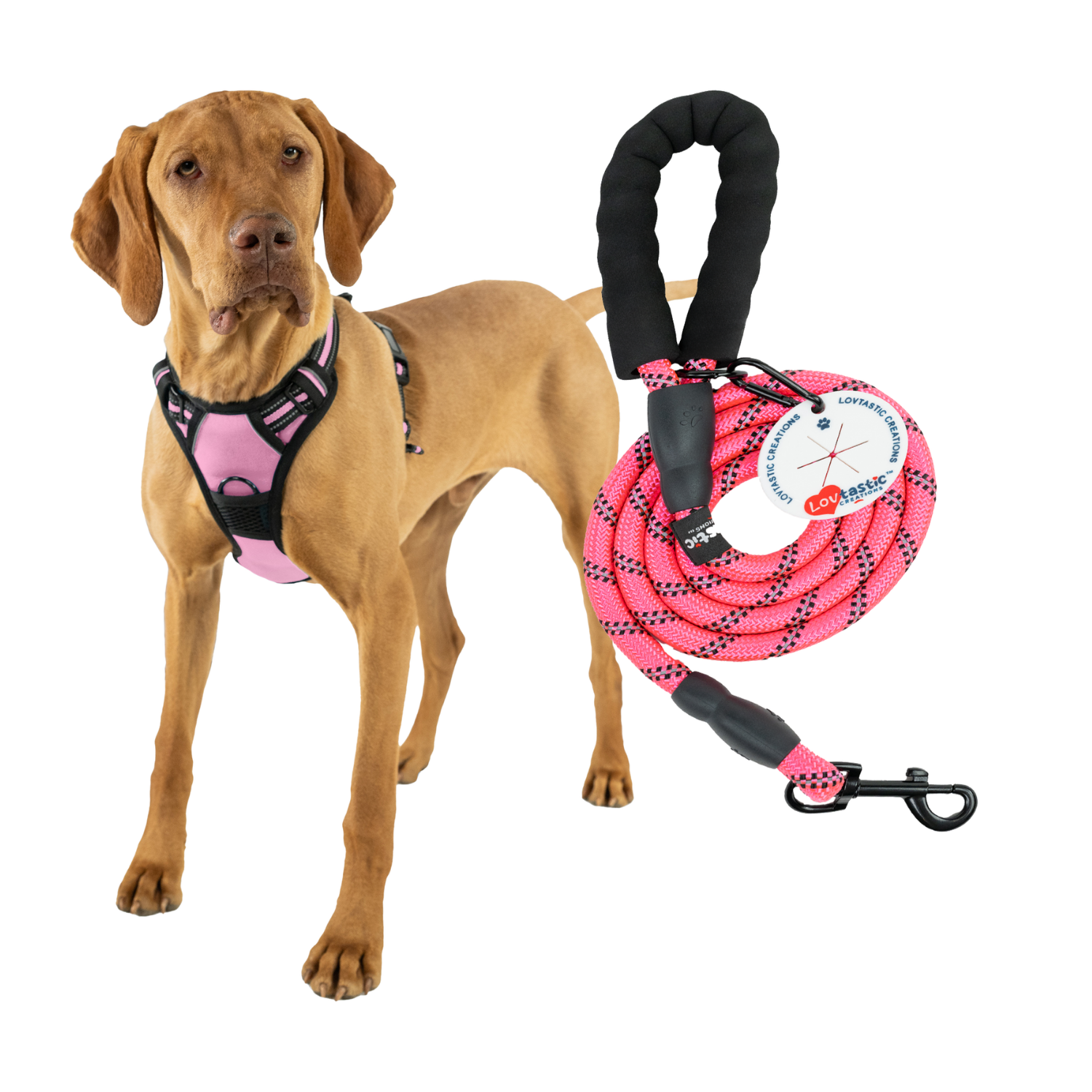 Lovtastic Creations™ No-Pull Dog Harness - with Strong & Durable Dog Leash & Free Poopbag Holder 3pcs Set | Reflective No-Choke Pet Harness