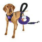 Lovtastic Creations™ No-Pull Dog Harness - with Strong & Durable Dog Leash & Free Poopbag Holder 3pcs Set | Reflective No-Choke Pet Harness