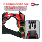 Lovtastic Creations™ No-Pull Dog Harness - with Strong & Durable Dog Leash & Free Poopbag Holder 3pcs Set | Reflective No-Choke Pet Harness