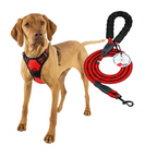 Lovtastic Creations™ No-Pull Dog Harness - with Strong & Durable Dog Leash & Free Poopbag Holder 3pcs Set | Reflective No-Choke Pet Harness