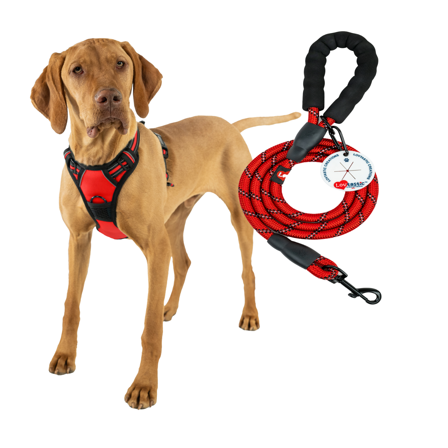 Lovtastic Creations™ No-Pull Dog Harness - with Strong & Durable Dog Leash & Free Poopbag Holder 3pcs Set | Reflective No-Choke Pet Harness