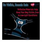 Lovtastic Creations™ No-Pull Dog Harness - with Strong & Durable Dog Leash & Free Poopbag Holder 3pcs Set | Reflective No-Choke Pet Harness