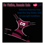 Lovtastic Creations™ No-Pull Dog Harness - with Strong & Durable Dog Leash & Free Poopbag Holder 3pcs Set | Reflective No-Choke Pet Harness