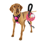 Lovtastic Creations™ No-Pull Dog Harness - with Strong & Durable Dog Leash & Free Poopbag Holder 3pcs Set | Reflective No-Choke Pet Harness