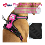 Lovtastic Creations™ No-Pull Dog Harness - with Strong & Durable Dog Leash & Free Poopbag Holder 3pcs Set | Reflective No-Choke Pet Harness