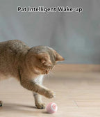Smart Cat Toy Ball: Auto-Rolling for Active Play