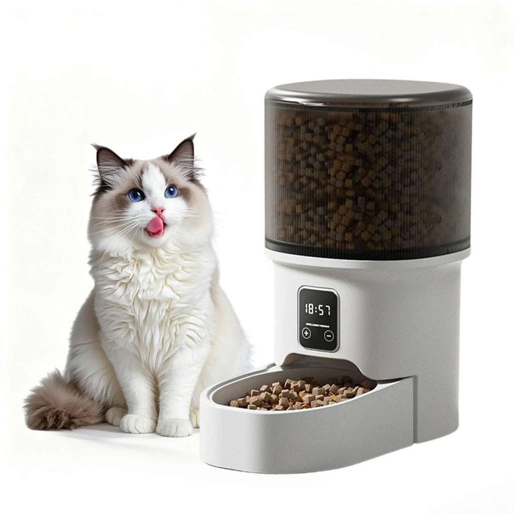 4L Automatic Cat Feeder with Timer Portion Control 1-6 Meals Per Day Button Control for Cats & Small Dogs Supplies