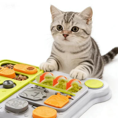 Cat Slow Feeder Toy: Interactive Treat Dispenser for Cognitive Training Games