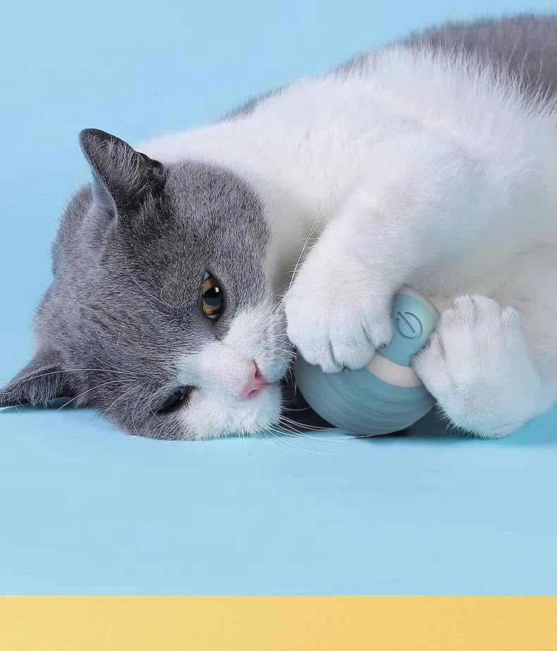 Smart Cat Toy Ball: Auto-Rolling for Active Play