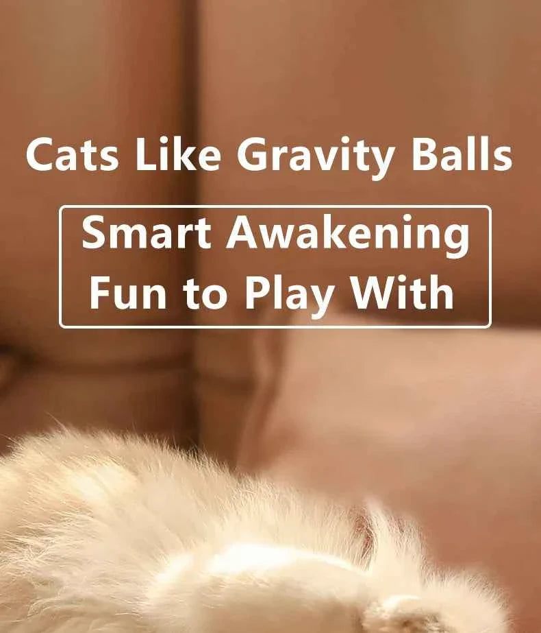 Smart Cat Toy Ball: Auto-Rolling for Active Play