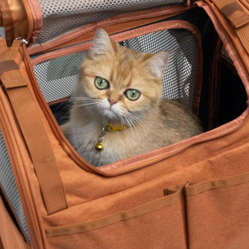 Expandable Pet Backpack Carrier with Breathable Mesh for Cats Small Dogs Puppies Backpack Portable Pet Carrier for Travel Hiking