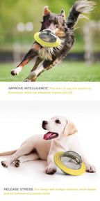 Interactive Design Dog Ball Toys Food Dispensing Pet Slow Feeder Ball Dog Enrichment Toys Dogs IQ Treat Ball Puzzle Toy