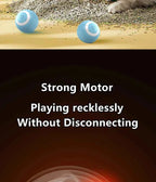 Smart Cat Toy Ball: Auto-Rolling for Active Play