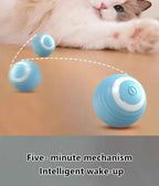 Smart Cat Toy Ball: Auto-Rolling for Active Play