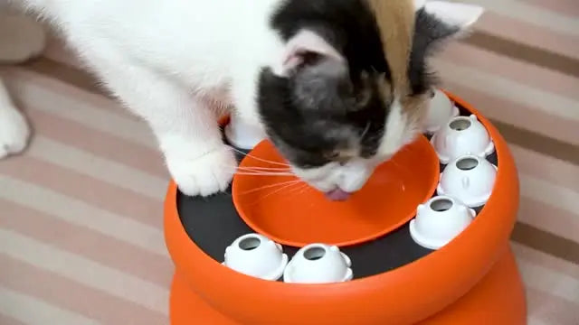 Cat Toys Slow Feeder Cat Bowl Interactive for Indoor Cats Cat Puzzle Feeder Pet Toy for Aid Pets Digestion & Mental Stimulation