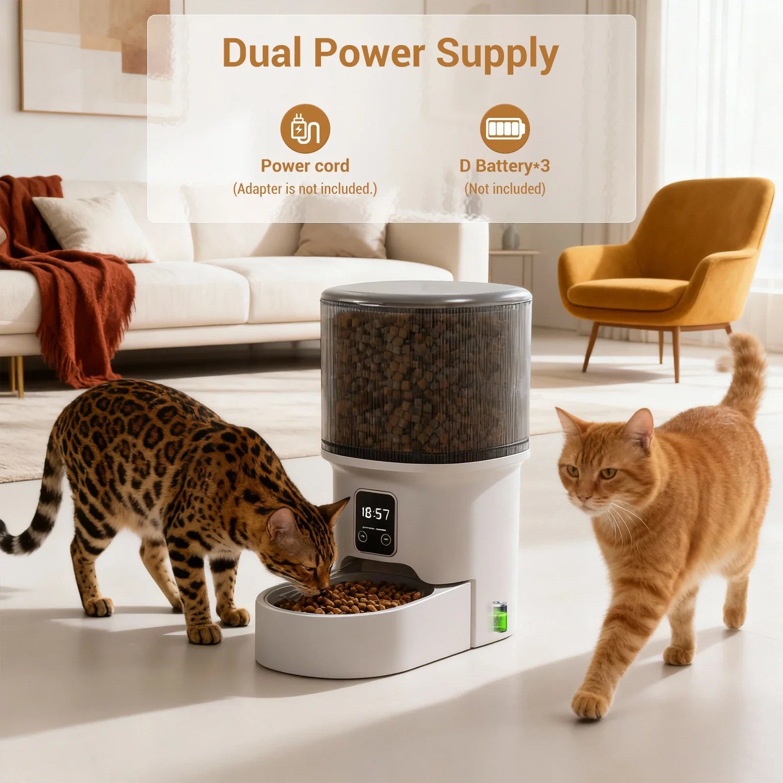 4L Automatic Cat Feeder with Timer Portion Control 1-6 Meals Per Day Button Control for Cats & Small Dogs Supplies