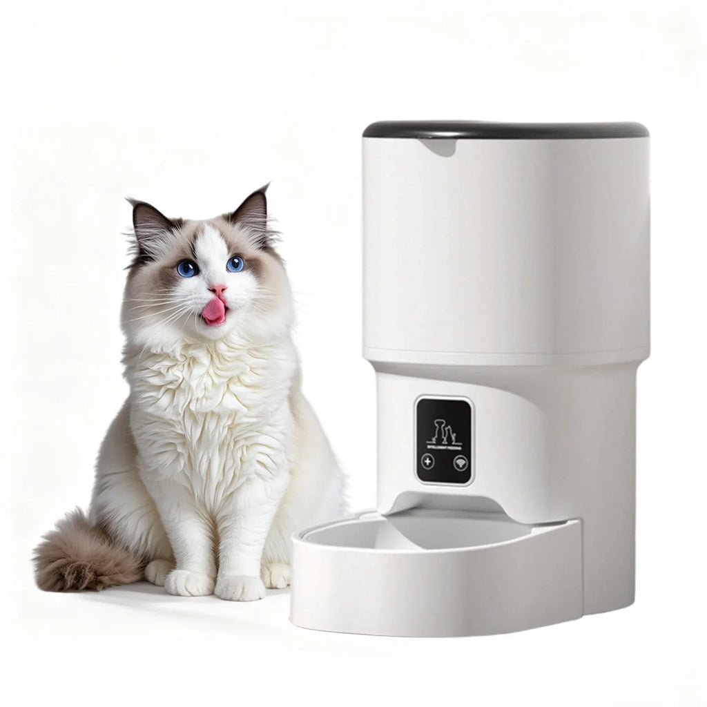 4L Automatic Cat Feeder with Timer Portion Control 1-6 Meals Per Day Button Control for Cats & Small Dogs Supplies
