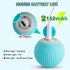Smart Cat Toy Ball: Auto-Rolling for Active Play