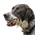Fish Bone Nylon Dog Toy for Aggressive Chewers | USA Made | SodaPup