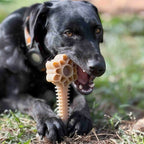 Honey Bone Dental Flower Tower - Indestructible Nylon Dog Chew Toy XL | USA