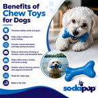PUP-X Rubber Bone Dog Toy - Durable, Floats, Chew Toy for Large Dogs | USA