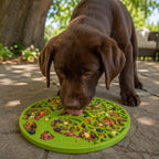 Tree of Life eMat - Enrichment Lick Mat For Dogs and Cats - With Suction Cups | Tree Design | USA Made