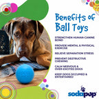 Squeak Ball - Durable Squeaky Dog Toy, Floats, Chew Toy | USA Made