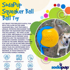 Squeak Ball - Durable Squeaky Dog Toy, Floats, Chew Toy | USA Made