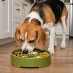 Great Outdoors eBowl - Slow Feeder Dog Bowl & Enrichment | USA Made