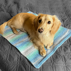 Small Dog Bed / Cat Mat