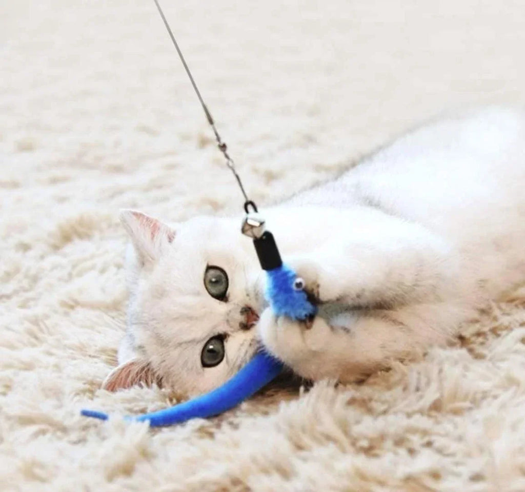 11PCS Retractable Cat Feather Toys Set
