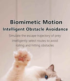 Smart Cat Toy Ball: Auto-Rolling for Active Play