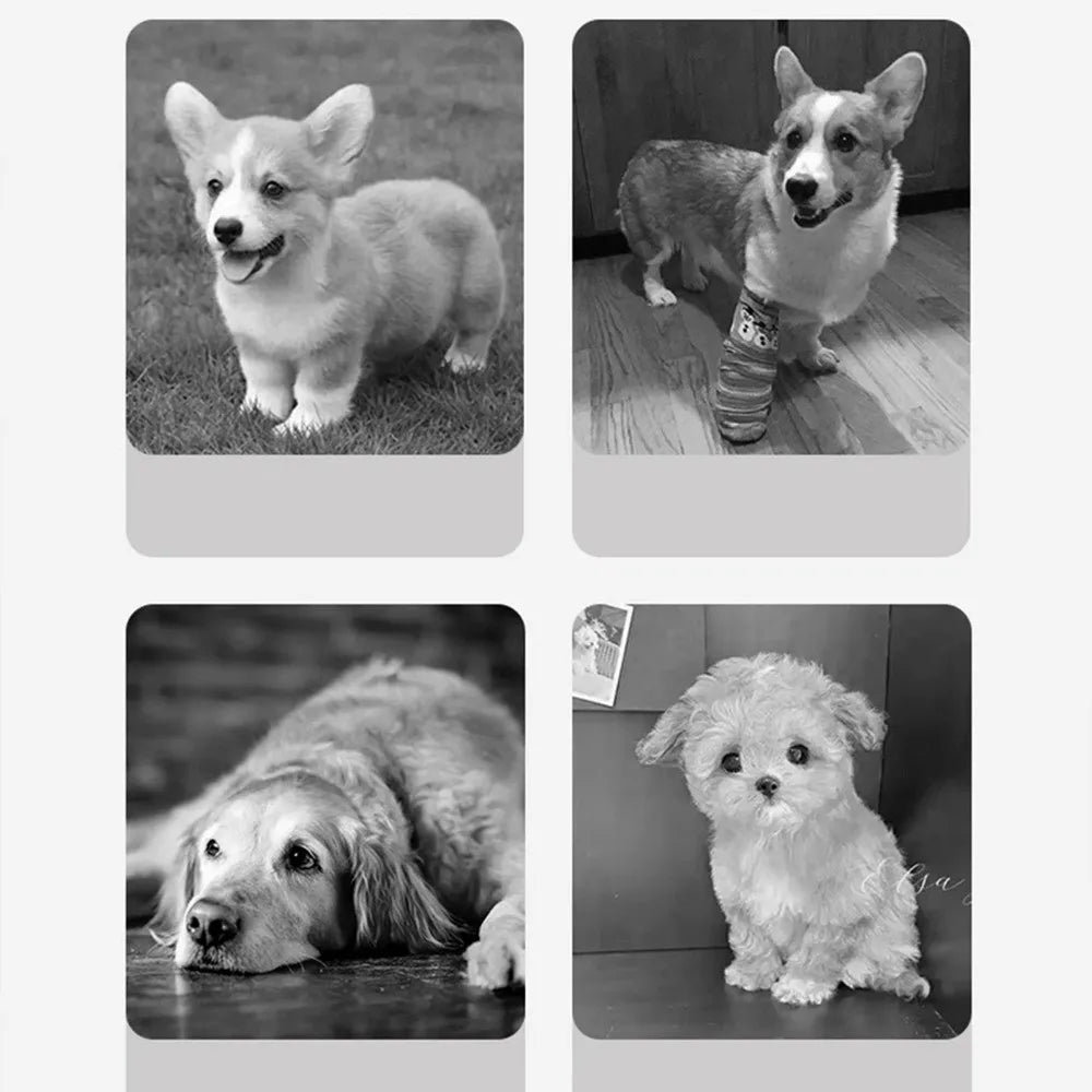 New 3/4 Step Dog Cat Ramp Ladder Non Slip Memory Foam Sponge Pet Stair Removable Washable Dog Sofa Steps Pet Supplies