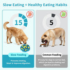 Dog Puzzle Toys Slow Feeder Interactive Increase Puppy IQ Food Dispenser Slowly Eating NonSlip Bowl Pet Cat Dogs Training Game