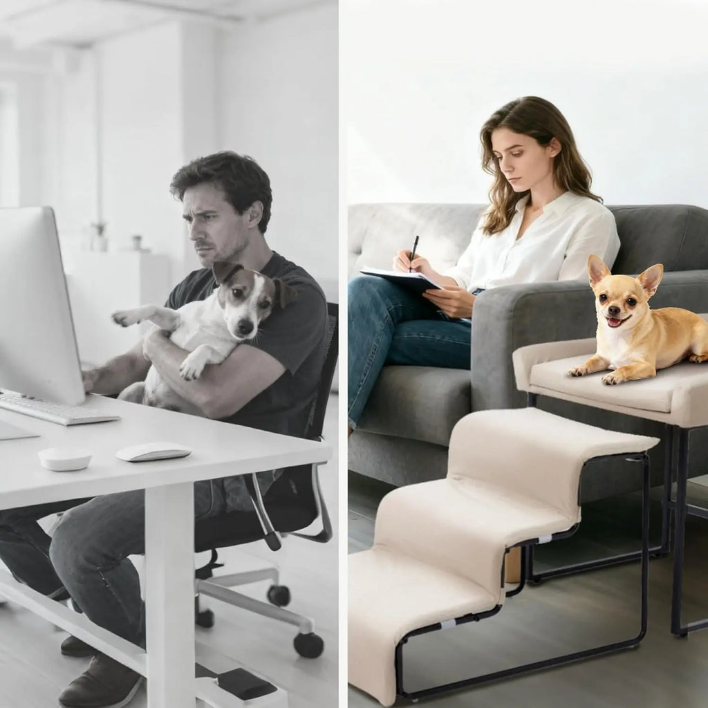 Dog Window Perch with Stairs, Pet Stairs Ramp with Seat, Dog Perch to Look Out Window with Ramp, Lounge Elevated Dogs Bed, Small