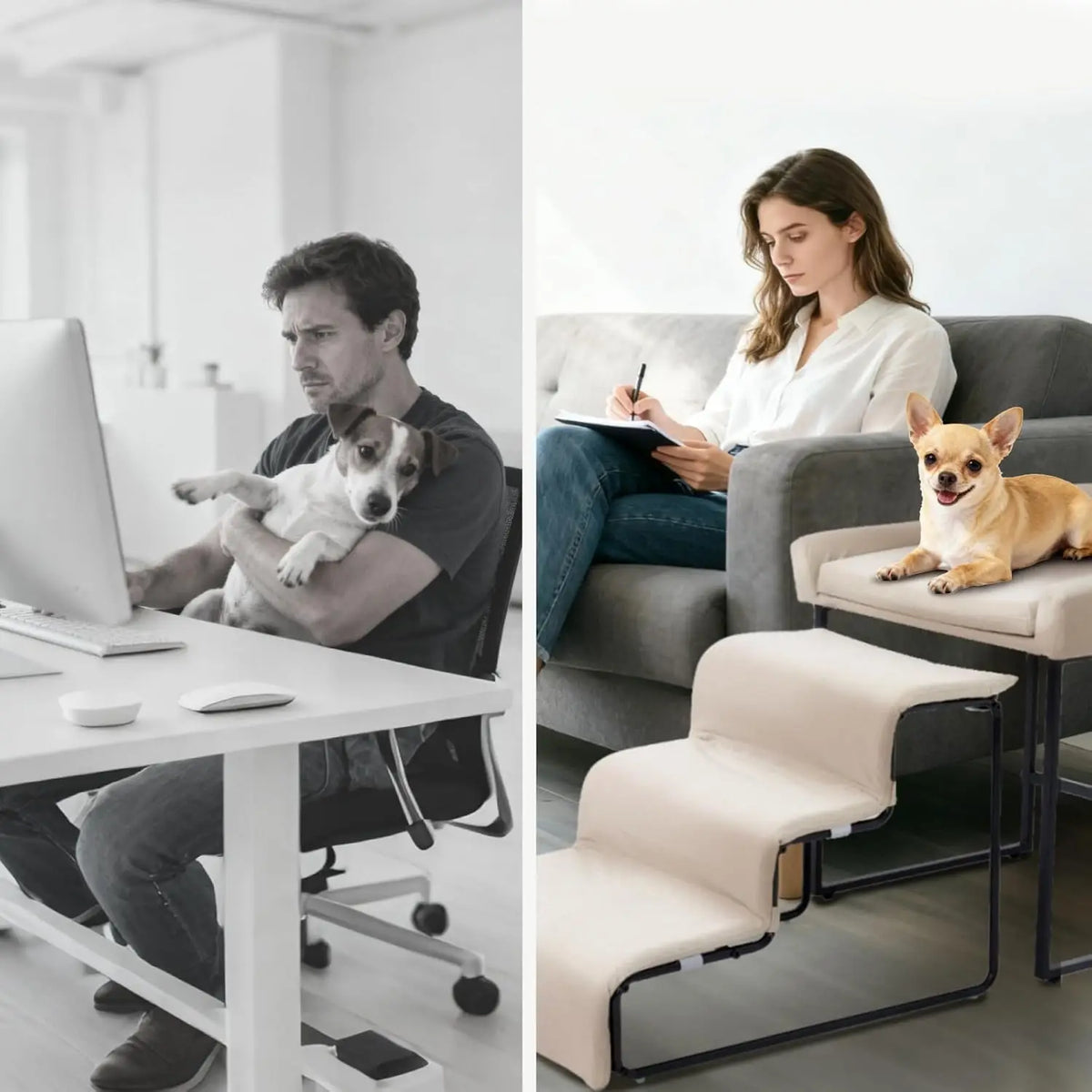 Dog Window Perch with Stairs, Pet Stairs Ramp with Seat, Dog Perch to Look Out Window with Ramp, Lounge Elevated Dogs Bed, Small