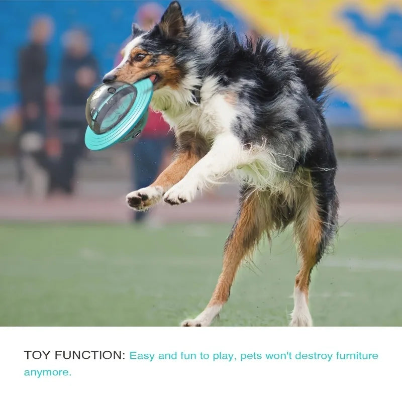 Interactive Design Dog Ball Toys Food Dispensing Pet Slow Feeder Ball Dog Enrichment Toys Dogs IQ Treat Ball Puzzle Toy